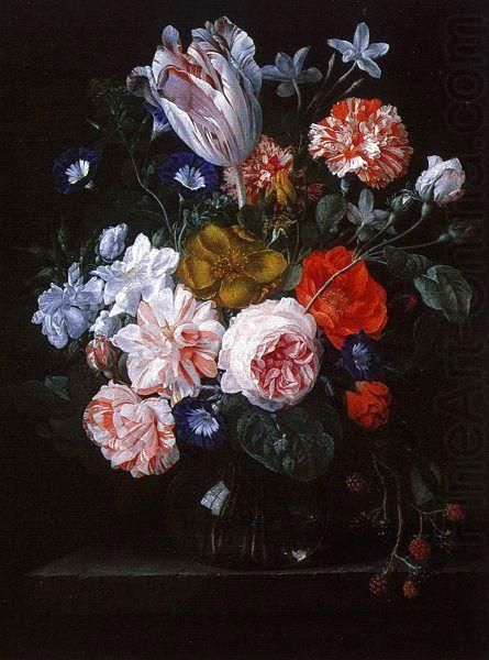 A Tulip, Carnations and Morning Glory in a Glass Vase, Nicolaes Van Verendael